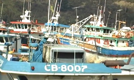 Se declara alerta para pescadores artesanales en región de Los Lagos por Reineta