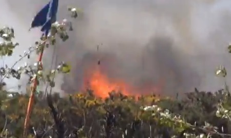 Alerta amarilla por incendio forestal en provincia de Palena