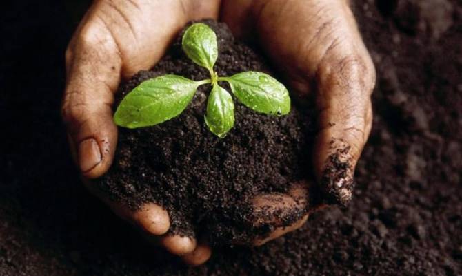 Promueven agricultura ecológica en Chiloé