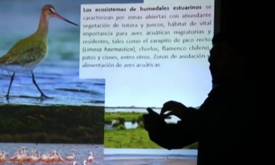 Campaña para preservar Humedales en Maullin reúne al Alcalde Jorge Westermeier y ONG conservación marina 