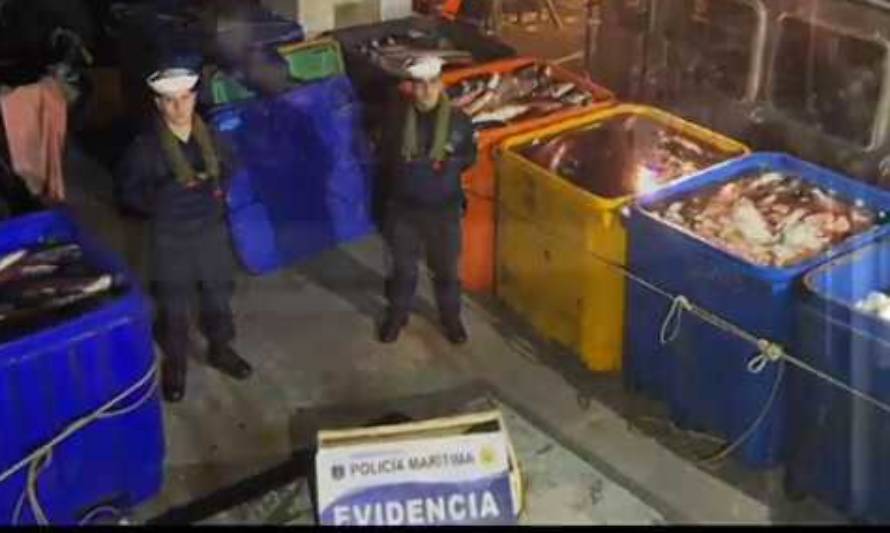 Decomisaron 25 toneladas de salmón en Chiloé