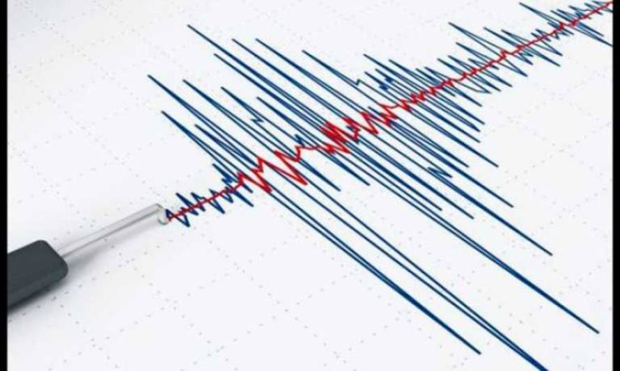 Sismo de 6.0° Mercalli se dejó sentir en buena parte de Sur