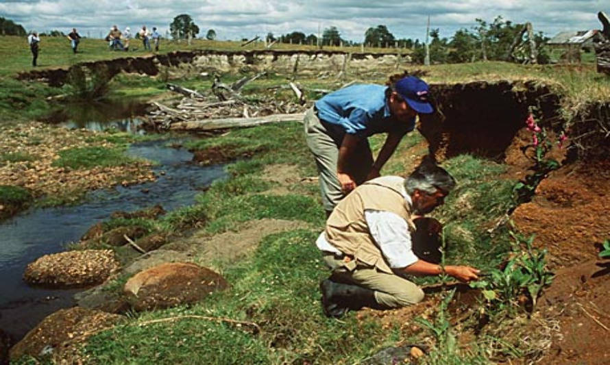 El Próximo año Puerto Montt tendrá de vuelta los restos arqueológicos de Monte Verde