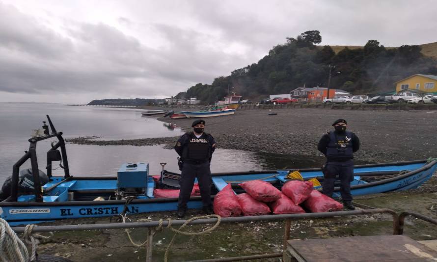 AmiChile condenó contaminación de playa con desechos de mitilicultura