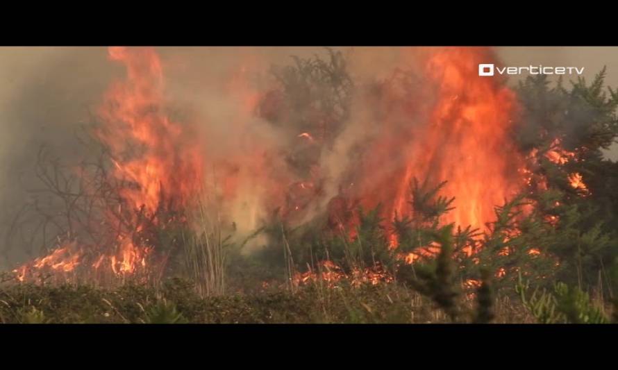 Activan alerta temprana para la zona por posibles incendios forestales