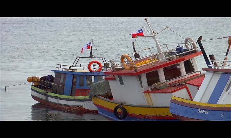 Dirigentes de la pesca artesanal se suman a petición para término de cuarentena en Puerto Montt