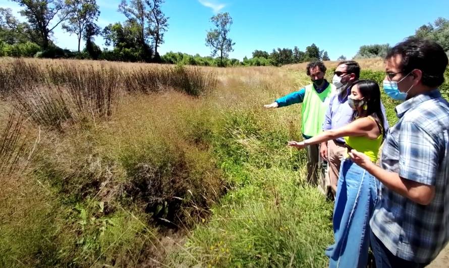 Destacan el valor natural de humedales en Osorno