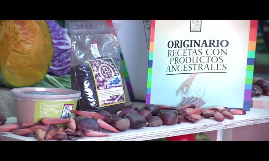 Presentan recetario con productos ancestrales de la cocina chilena