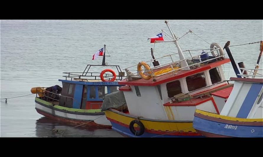 Molestia en pesca artesanal por no aprobación de ley contra pesca de arrastre de la merluza