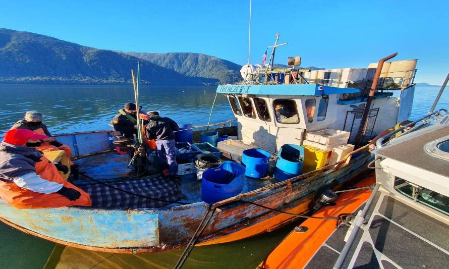 Autoridad marítima de Aysén da duró golpe a la pesca ilegal