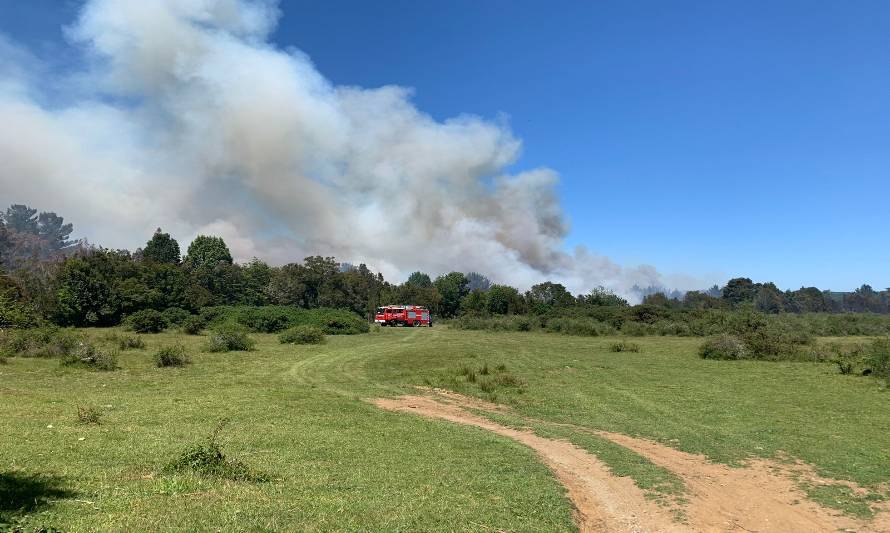 Incendio forestal consume matorrales y bosque en sector La Laja