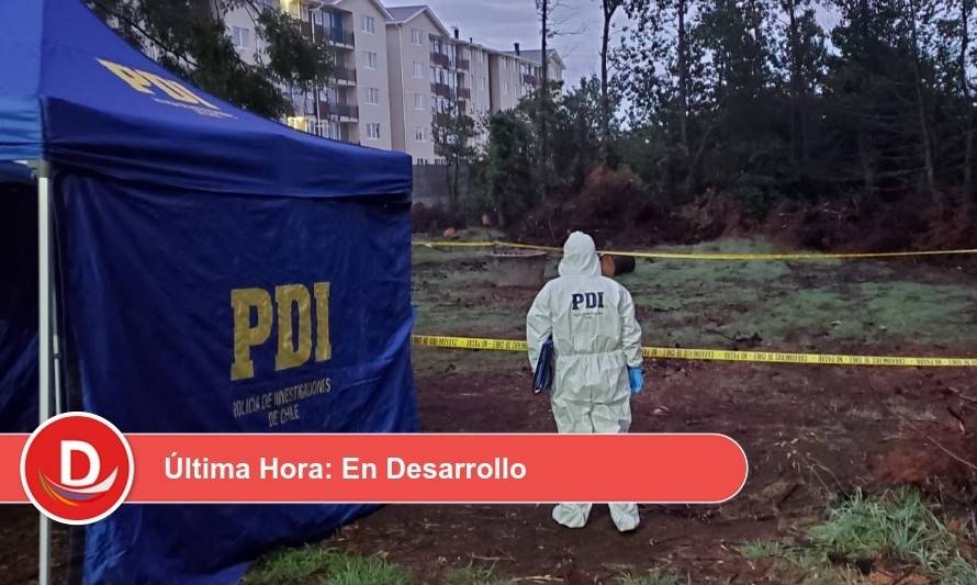 Actualización: identifican a joven asesinado en fiesta clandestina efectuada en parque Pucalán de Puerto Montt