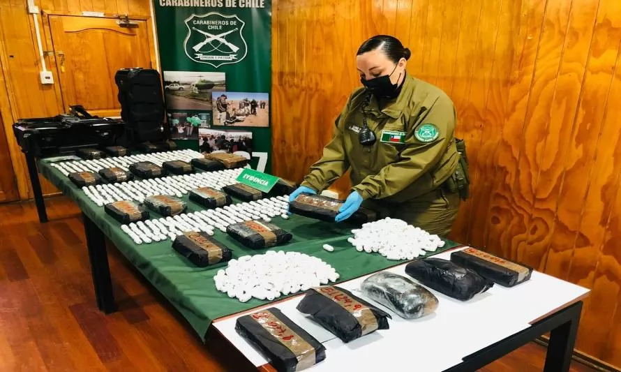 Can “Dubái” del OS-7 permitió desbaratar millonario trafico de drogas entre Puerto Montt y Punta Arenas