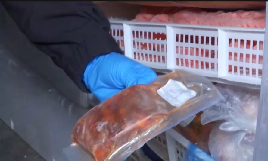 Un Carabinero dado de baja y 32 detenidos dejó la operación que desbarató organización que vendía mortandad de salmones ahumados