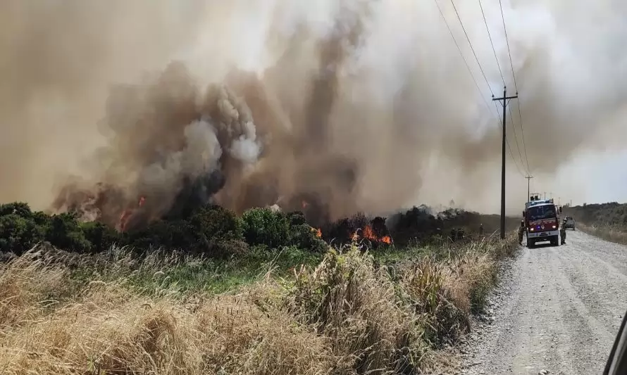 Alerta roja en Puerto Montt por incendio forestal