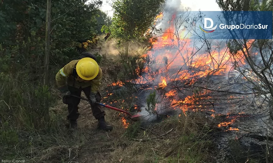 Alerta Temprana Preventiva por riesgo de incendios forestales