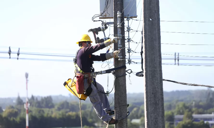 Saesa realizará mantenimiento en sus redes en la comuna de Llanquihue