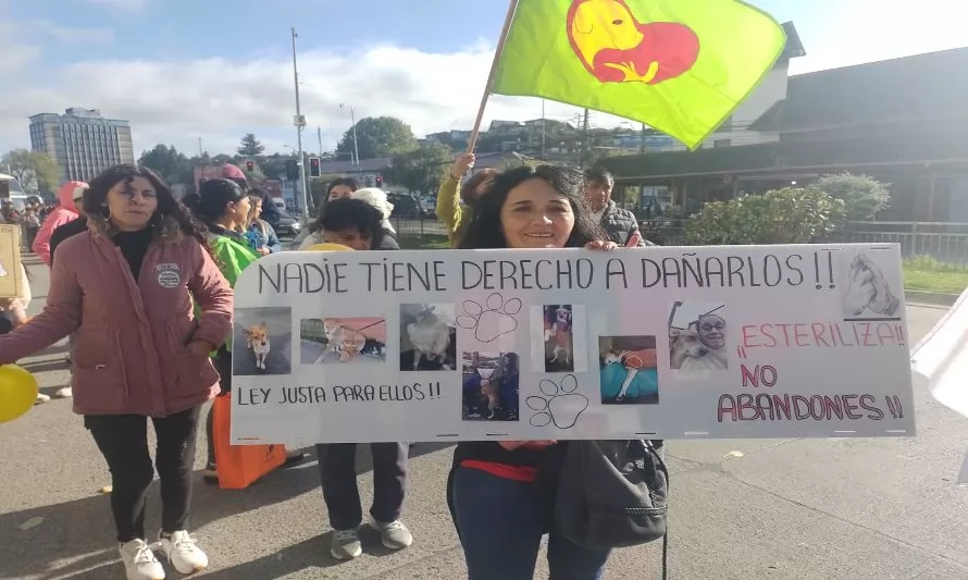 19 agrupaciones y rescatistas marcharon contra el maltrato animal en Puerto Montt