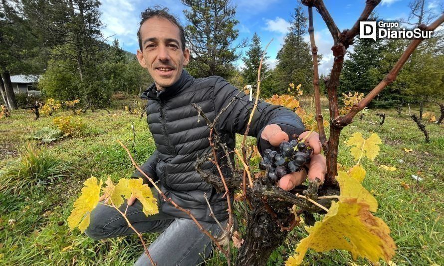 Invitación a los chilenos: sanación y viticultura en equilibrio con la naturaleza en Lago Puelo, provincia del Chubut