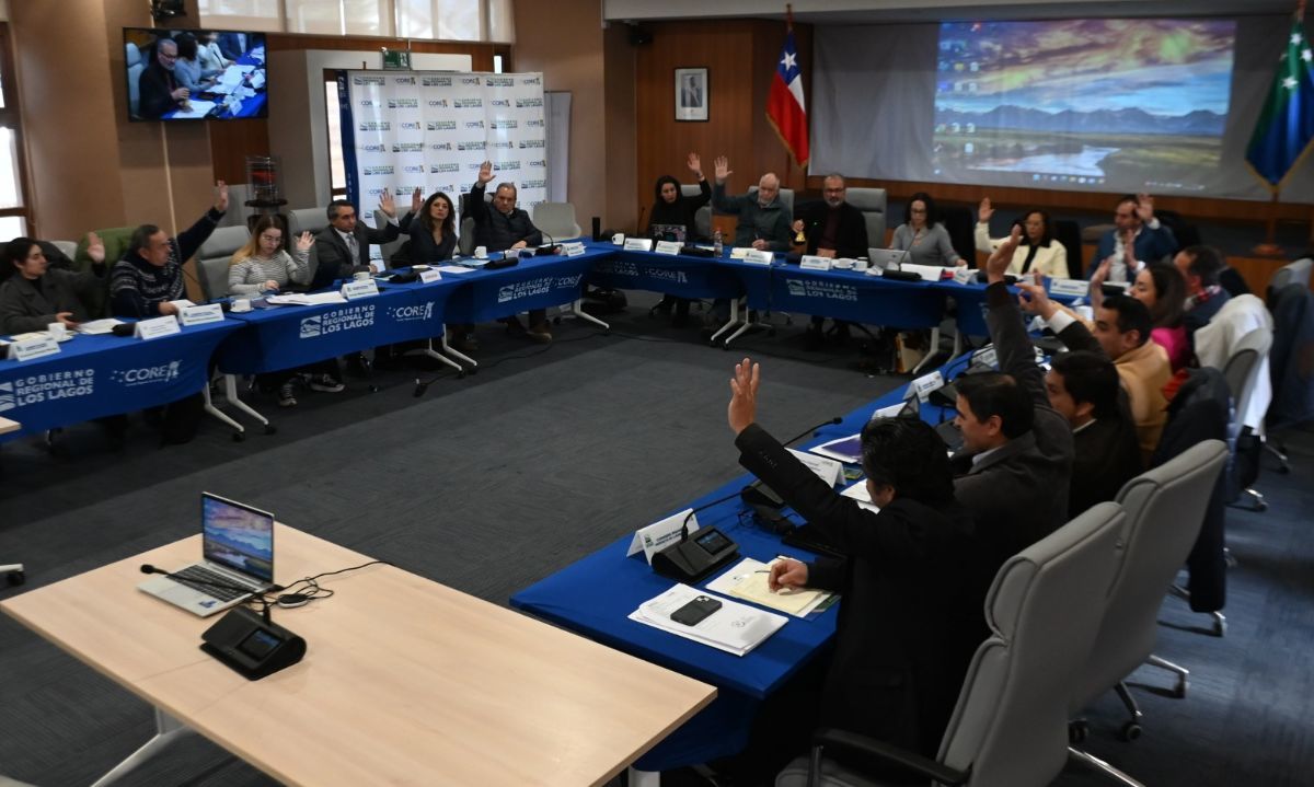 Consejeros aprueban nuevo fondo destinado a la inclusión neurodivergente en la región de Los Lagos