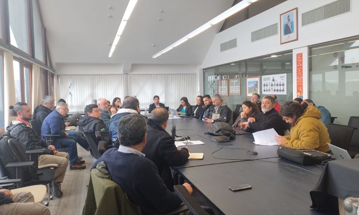 Ruta a Chinquihue podría ser habilitada en un mes tras socavón