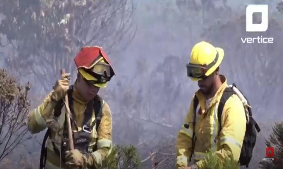 CONAF capacita a sus profesionales en manejo de drones para la investigación de incendios