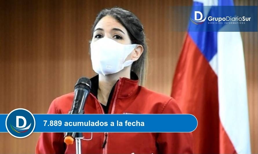 Subsecretaria de Prevención del Delito destacó alta cifra de detenidos en Los Lagos