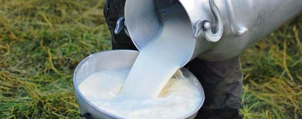 Agricultores piden salvaguarda para la importación de leche